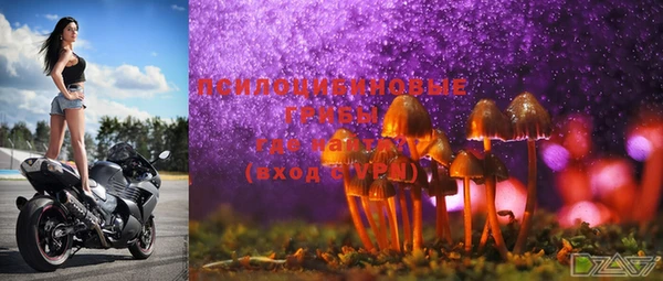 mix Осинники